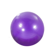 Synergy 55cm Anti-Burst Exercise Ball