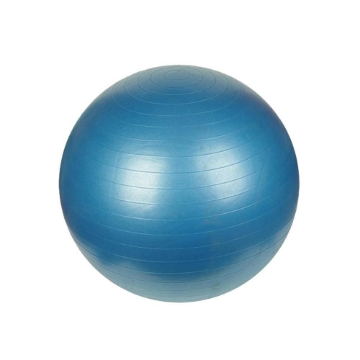 Picture of Synergy 75cm Anti-Burst Exercise Ball