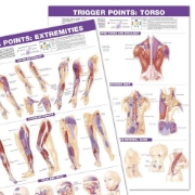 Trigger Points: Torso and Extremities (Set of Two) Charts