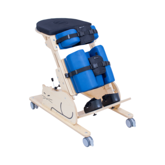 Picture of Cat I Standing Frame