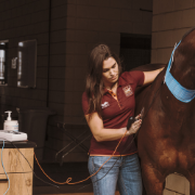 Picture of Globus Tecarvet 4000 Veterinary Tecar