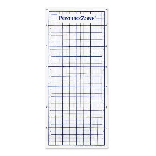 Picture of Pro Movement Grid (Frontal/Lateral Views)